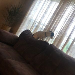 Meet your Posher, Ben